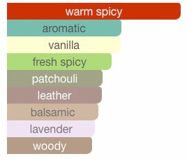 Afnan 9PM Elixir - Parfum Intense