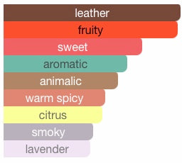 Forever Wanted Elixir Azzaro